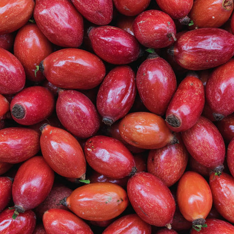 ROSEHIP OIL